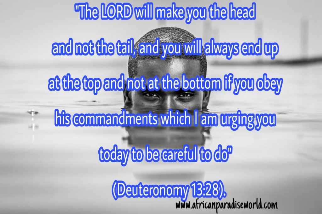 be-the-head-but-not-the-tail-a-complete-inspiration-from-the-bible