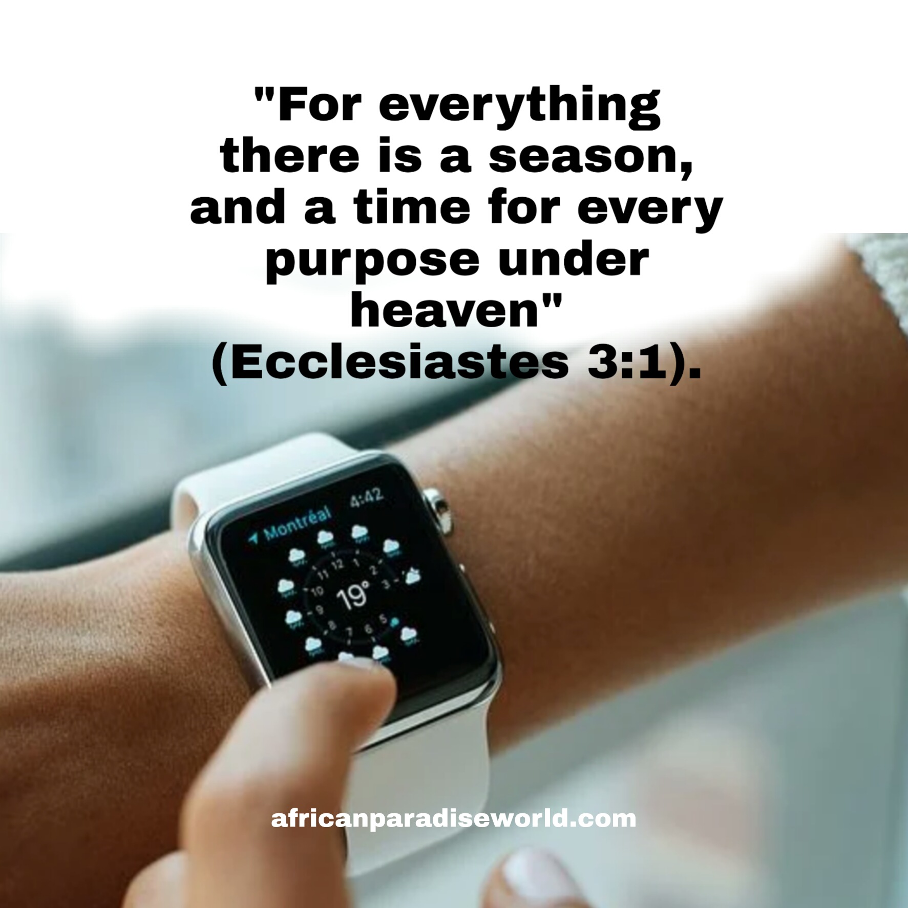 There Is A Time For Everything Under The Sun – The Bible Says