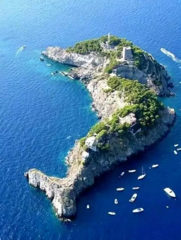 Island in a form of fish