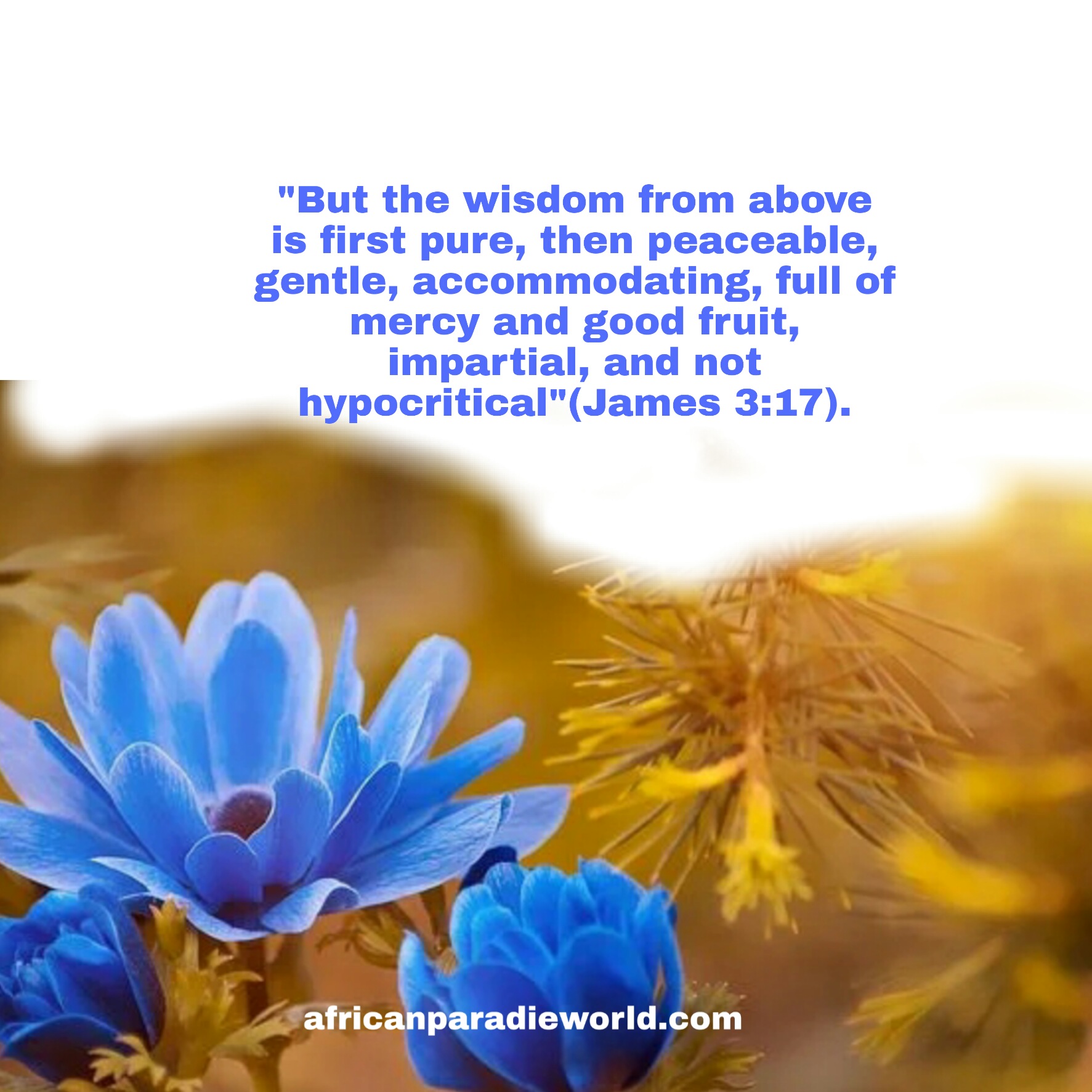 Wisdom from above Bible verse