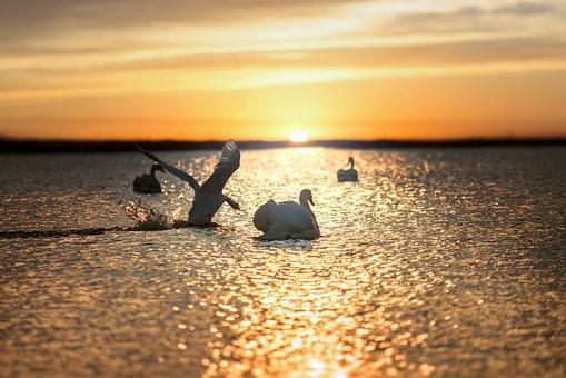 Sunset depicting one of the beauties in the world 