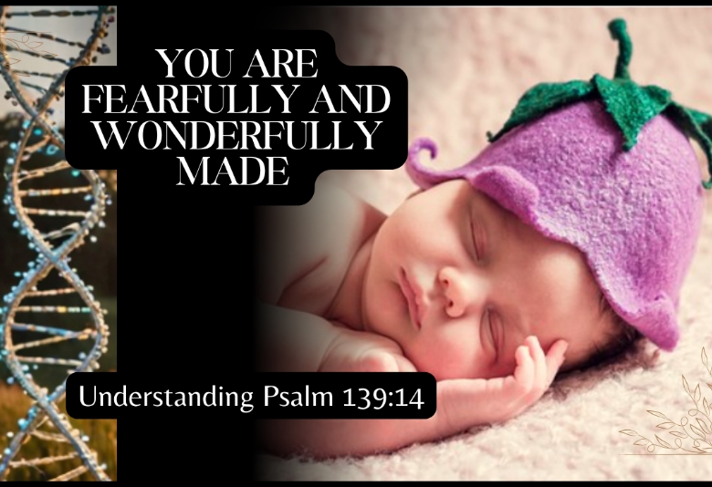 God Made You Fearfully And Wonderfully — Here Is A Prove