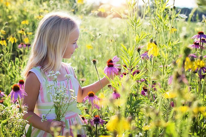 A happy child picking flowers