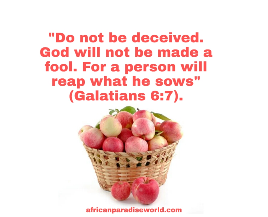 Did You Sow Something Sinful Today? You Can’t Reap Anything Good