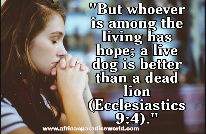 Read Bible verses about hope when you are feeling hopeless