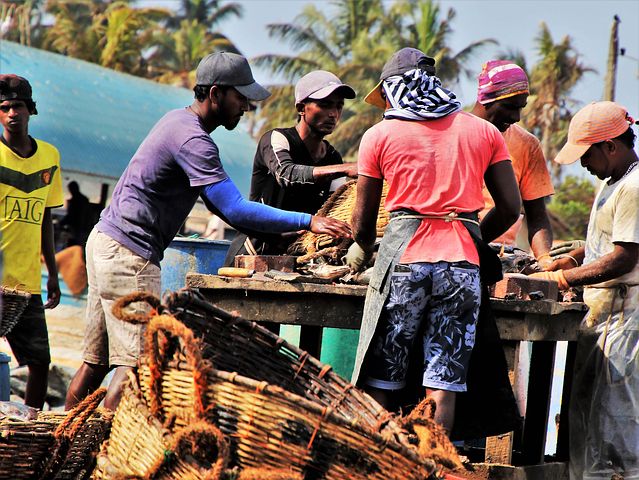 Fishermen working hard for money at the shore