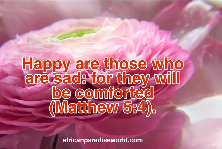 Bible verses on death example - Matthew 5:4