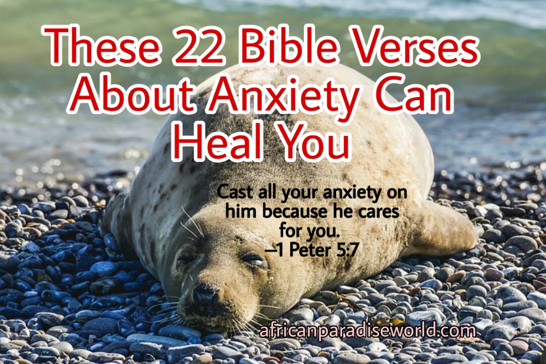 22 Heart Touching Bible Verses About Anxiety To Cast Away Your Fears