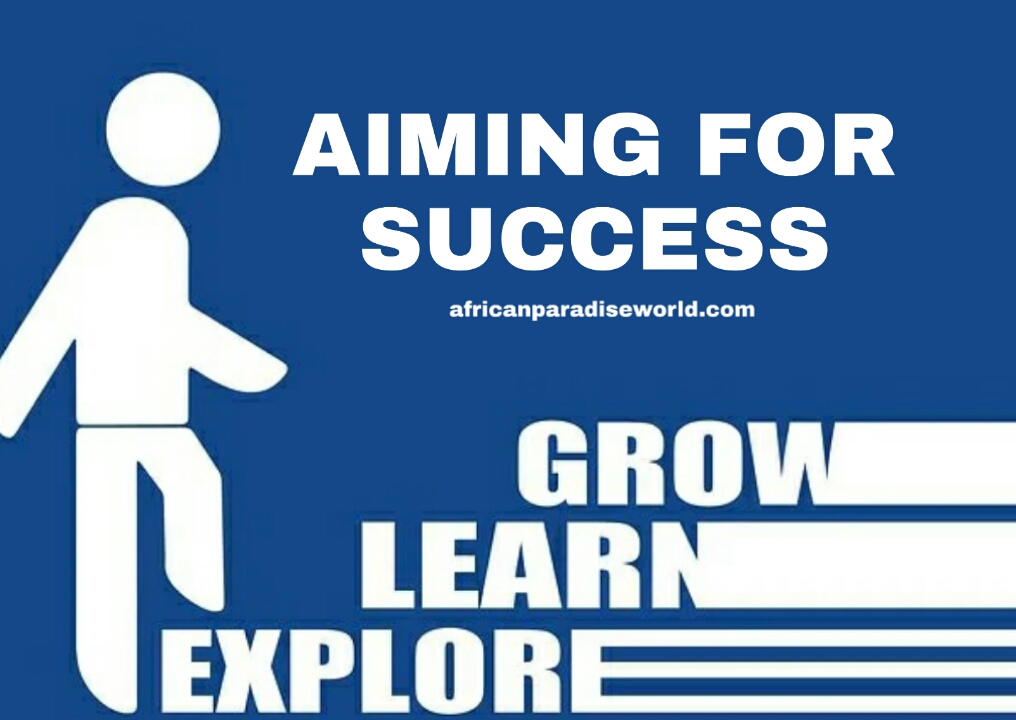 Aiming for success infographic