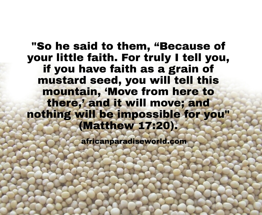 Faith like mustard seed Bible verse