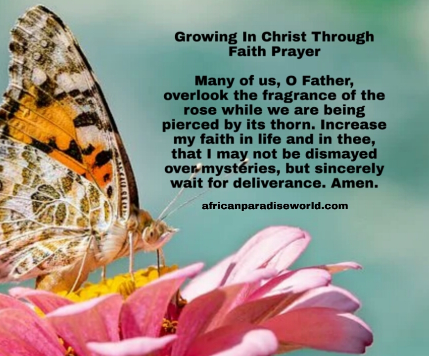 Daily prayers to grow in faith