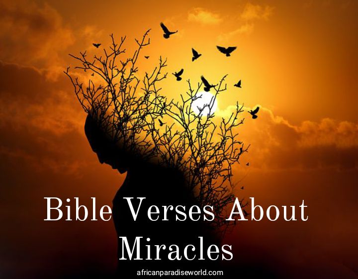 best-bible-verses-about-miracles-you-shouldn-t-be-ignorant-about