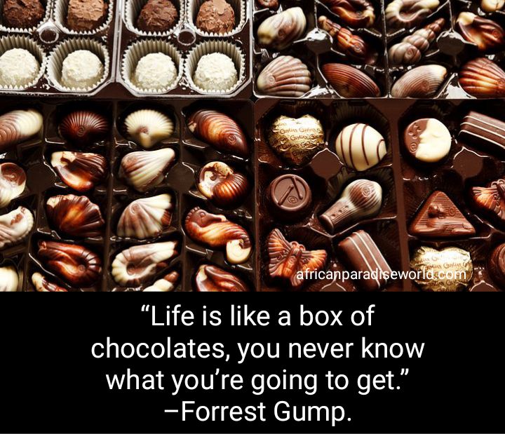 Life Is Like A Box Of Chocolates Meaning From Forrest Gump