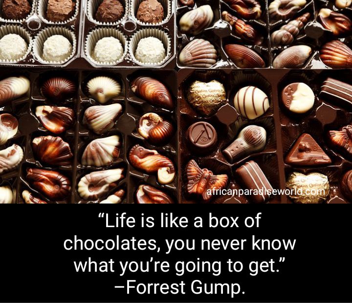 saying life is like a box of chocolates