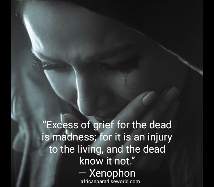 Comfort grief quotes