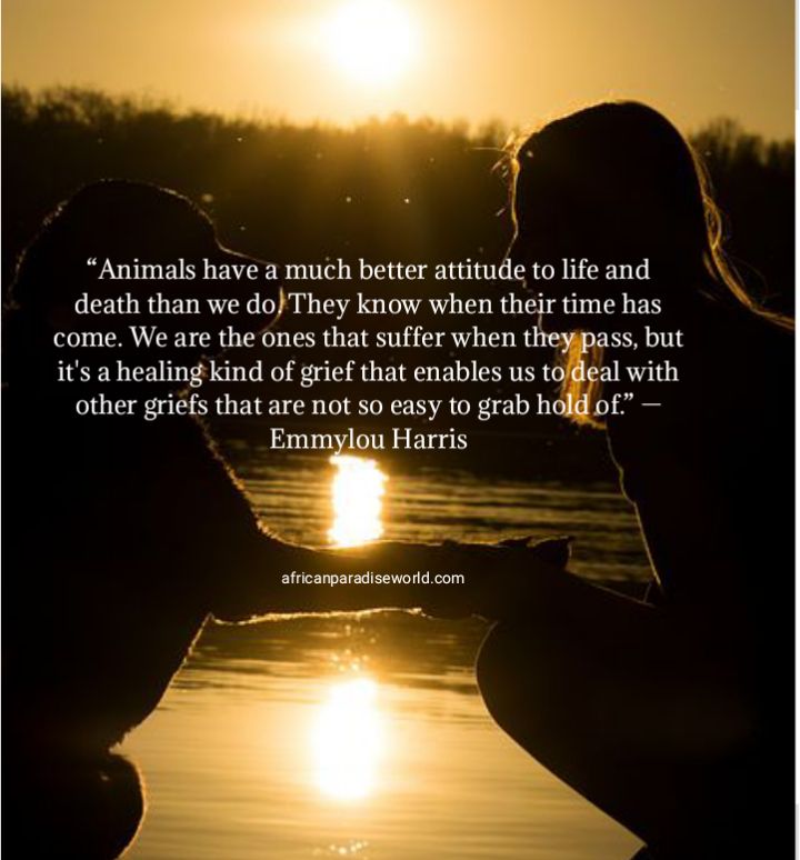 Comfort quote for the loss of a loved one