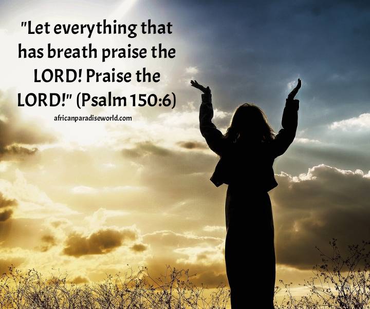 Let everything that has breath praise the Lord verse - Psalm 150:6