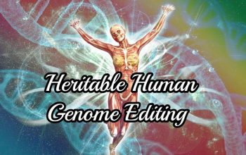 Heritable Human Genome Editing